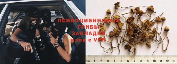 хмурый Армянск