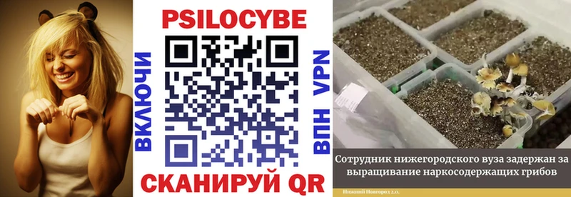 Галлюциногенные грибы Magic Shrooms Салаир